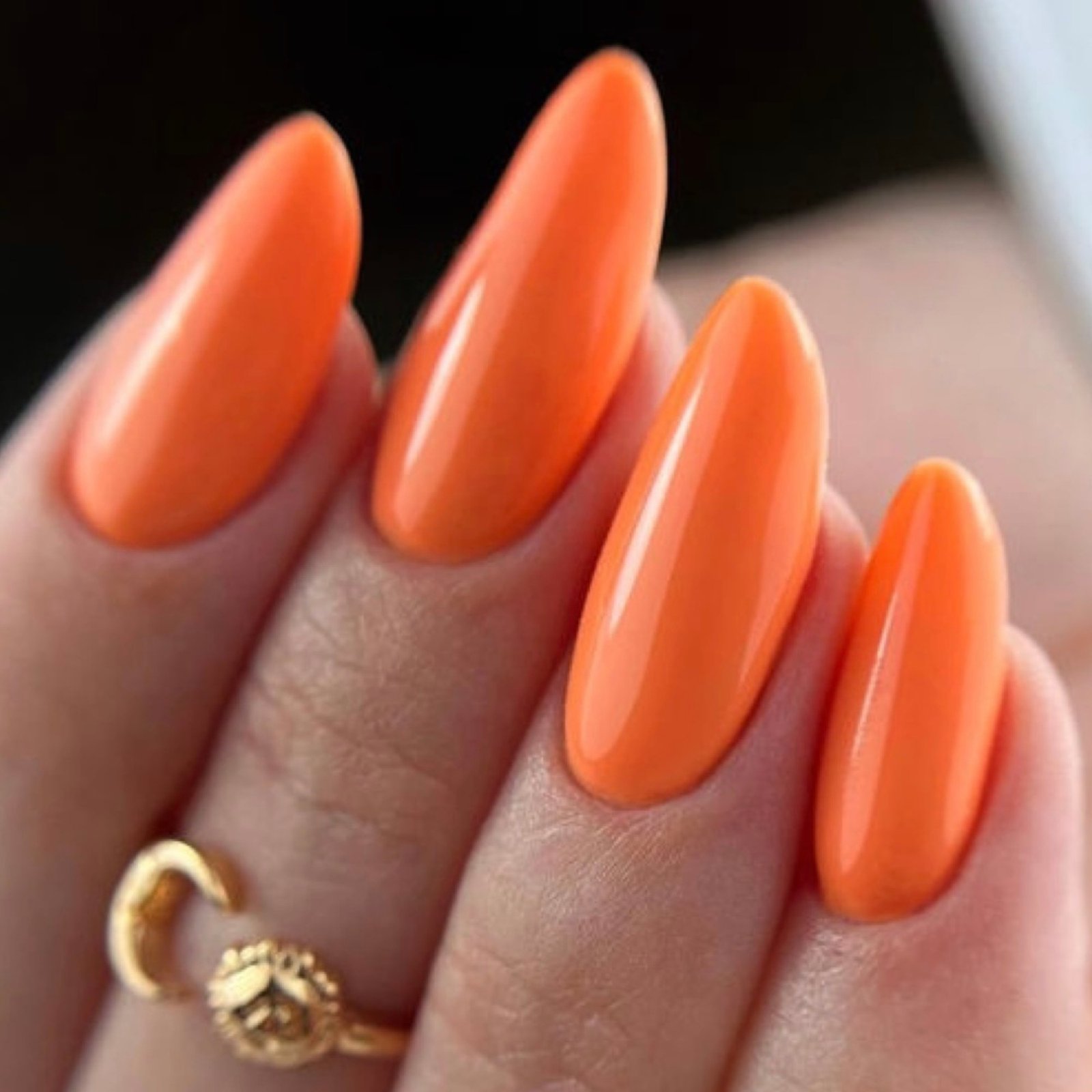 Gel Pro